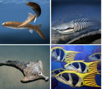 Evolution of Life on Earth