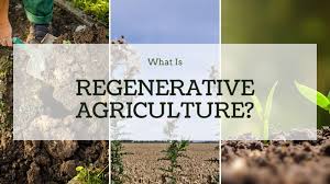 5 key concepts and benefits of regenerative agriculture