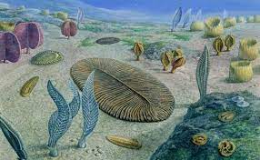 Evolution of Life on Earth