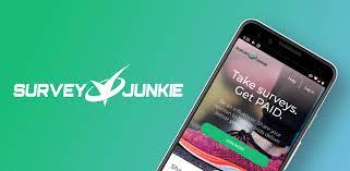 Survey Sites to Earn Fast Money