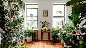 Mother’s Day Gift Ideas